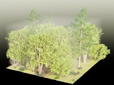 Forest 3D model