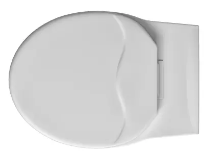 Floor Mount oval shape EWC toilet 3D model Modeled in 3ds max 3D model