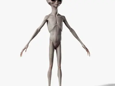 Humanoid Grey Alien - Rigged Low-poly 3D model