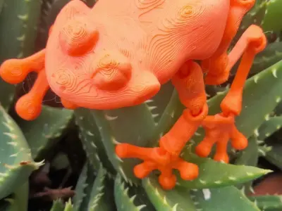 Linda ranita flexible articulada tiempo limitado Free 3D print model