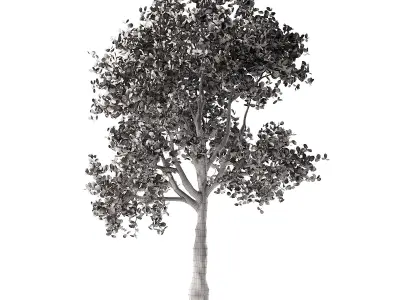 Apple tree Low-poly 3D model