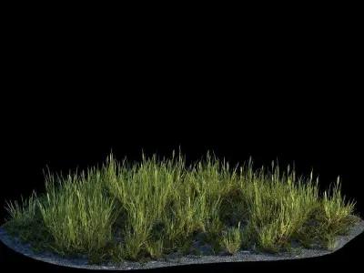 Exterior 001 Plant Low-poly 3D model