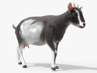  Animated Fur Livestock Rigged for Blender Collection 