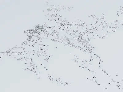 Grenada Streets and Buildings 3D model