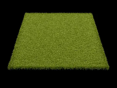 Carpets Vol 4 3D model