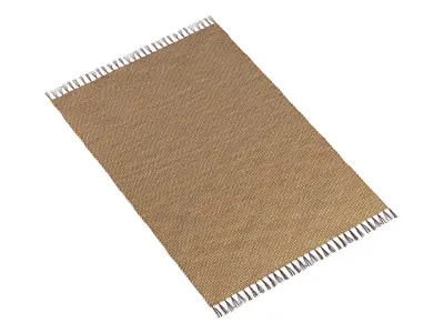 Willow Water Hyacinth Rug 215x150cm RendezVousDeco 3D model