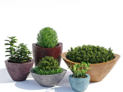 Dune series 3D model