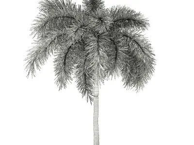 Foxtail Palm Tree 3D Model 6m 3D model