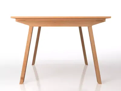 Mitis Rectangular 3D model