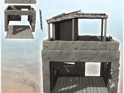 Ruined post-apocalyptic house with roof terrace and access ladde 3D print model