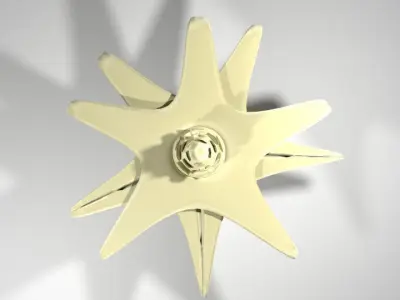 Flower - Cape 3D model