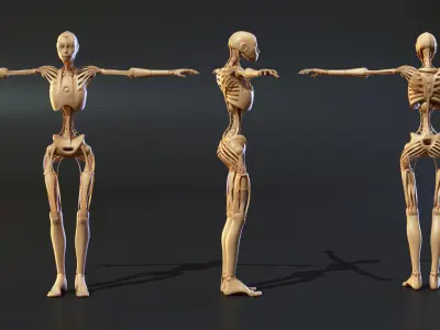 Animated Robot 3D model