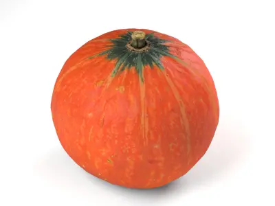 Orange Pumpkin - Photorealistic  Scan Low-poly 3D model