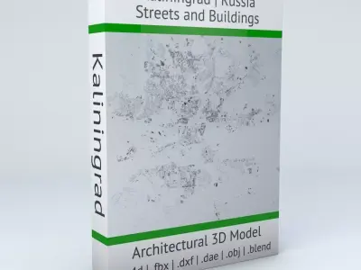 Kaliningrad Streets and Buildings 3D model