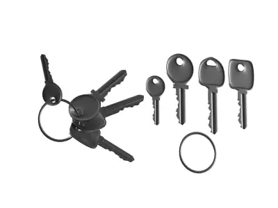 Set Of New Keys 3D model