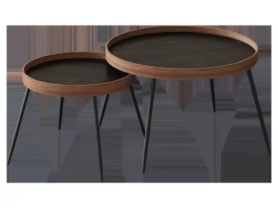 COFFEE TABLE WOODSTER CATTELAN ITALIA STYLE 3D model