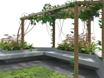 Crape vine pergola backyard Low-poly 3D model