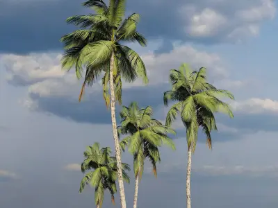 REALISTIC COCONUT TREE LUMION 11 FILE Low-poly 3D model