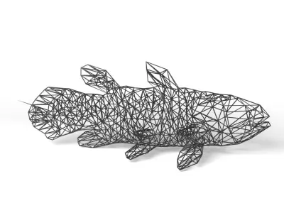 Coelacanth Wireframe Low-poly 3D model