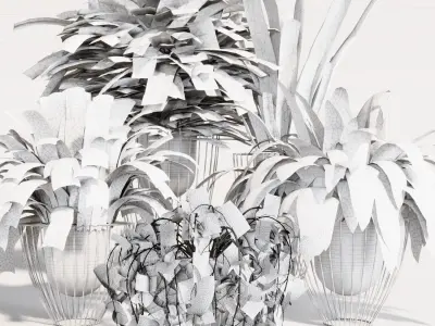 INDOOR PLANT SET 03 3D model