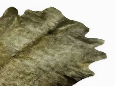 Green Cowhide Rug 3D model
