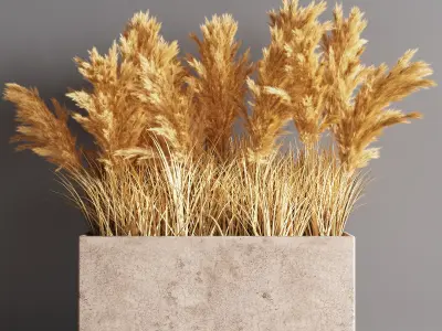 Indoor Plant Set 56  pampas 3D model