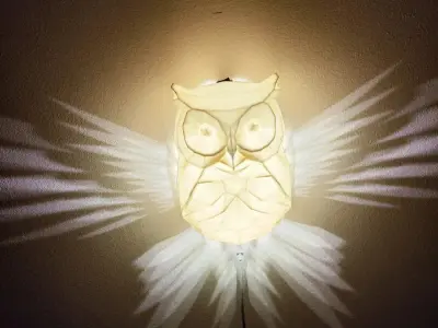 Cute Owl wall lamp 3D print model
