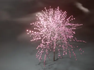 Model Japan Sakura Tree  Free 3D model