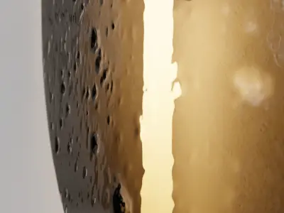 Baxter Nanda 3d Model 3D model