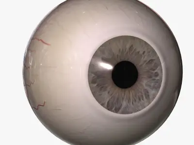 White Male Face Unrigged 3D model