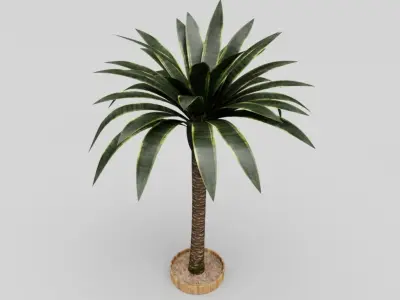 Palm Tree Low-poly 3D model