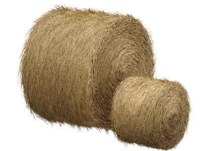 Hay in rolls Straw in rolls 3D model