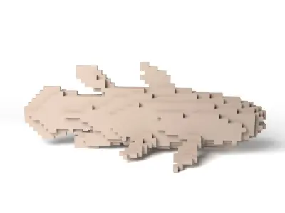 Coelacanth Minecraft Voxel Low-poly 3D model