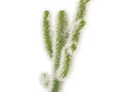 Cholla Cactus 3D model