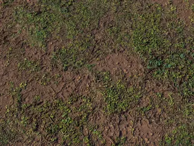 Wet Muddy Soil With Green Grass Sprouts Texture