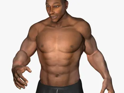 Humand Body Collection Rigged 3D model