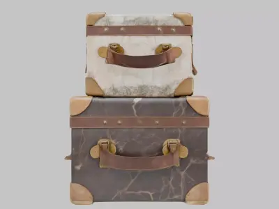 Vintage Luggage Set Low-poly 3D model