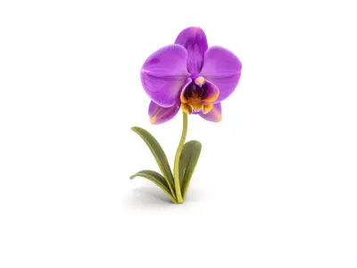 Elegant Purple Orchid model pack Low-poly 3D model