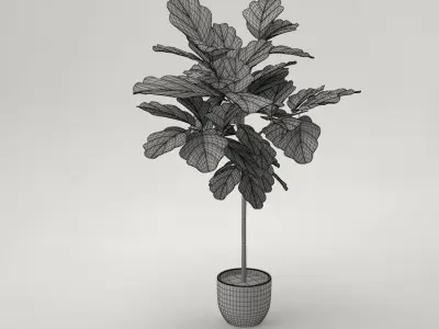 Pro - little Oak in Pot 3D model