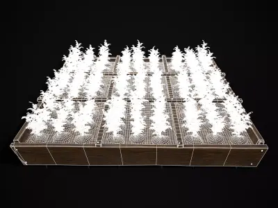 Square Planting Plot with Carrots Low-poly 3D model