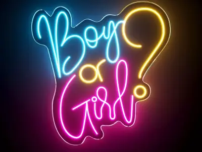 Boy Or Girl Neon Sign 3D model purchase