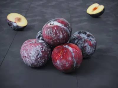 Black Plums 7 Models