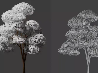 Cartoon trees pack Low-poly 3D model