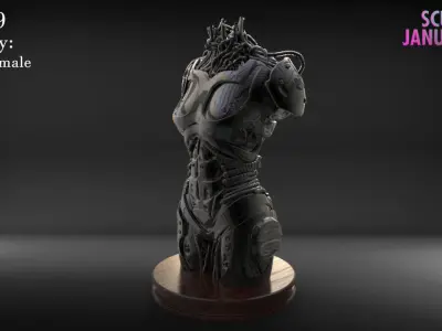 Female Robot Torso Timelapse and Model 3D print model