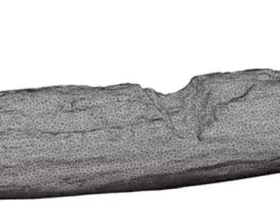 Fallen Forest Log Low-poly 3D model