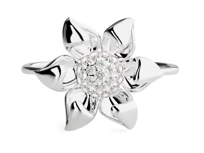 Ring - 12 3D print model