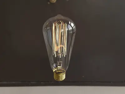 Vintage Incandescent Edison Light Bulb 3D model
