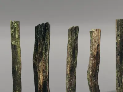 old wood gate and posts Free 3D model