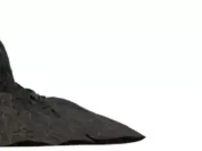 Rooted Forest Ground Patches Low-poly 3D model