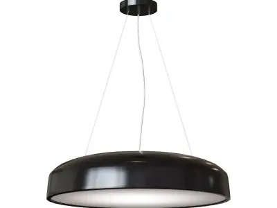 Cocotte ceiling light suspension 3D model